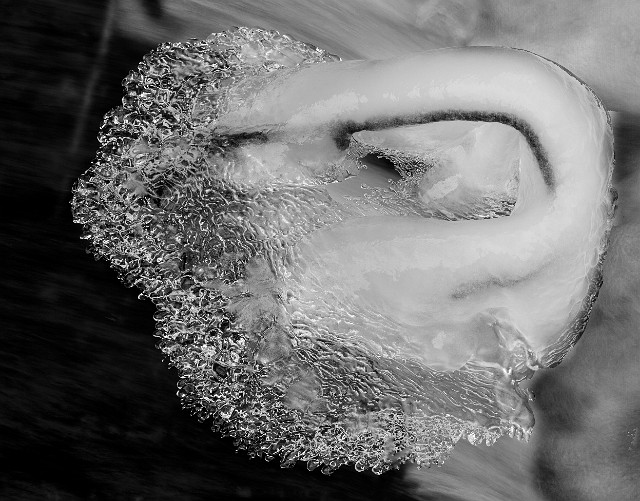 Wakeena Creek Ice 13-3550 bw.jpg